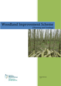 Woodland Improvement Scheme
