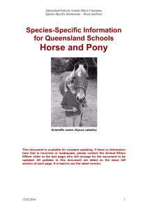 Queensland Schools Animal Ethics Committee Species