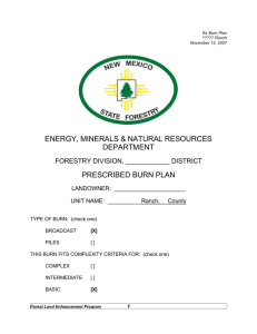 NMSF Rx Burn Plan Example - New Mexico Prescribed Fire Council