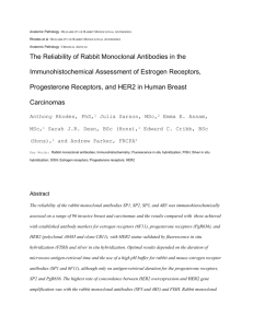 The reliability of rabbit monoclonal antibodies in the