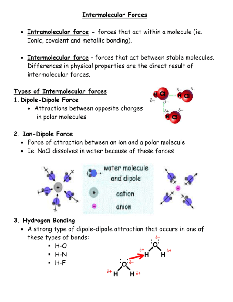 Intermolecular Forces And Solubility