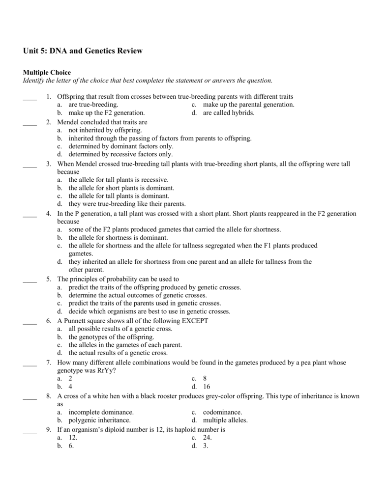 Dna Unit Review Worksheet Answer Key Promotiontablecovers