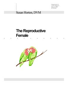 The Reproductive Female