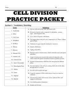 Cell Division Practice Packet