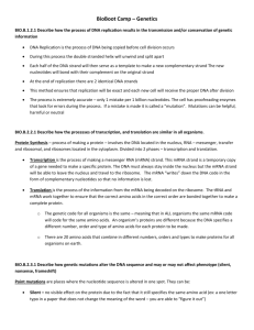 Review Guide Genetics