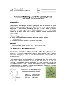 Molecular Modeling Activity for Carbohydrates