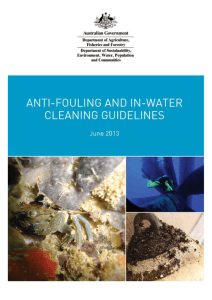 Anti-fouling and In-water Cleaning Guidelines