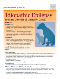 idiopathic_epilepsy