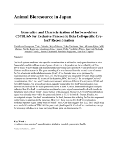 Generation and Characterization of Ins1-cre-driver