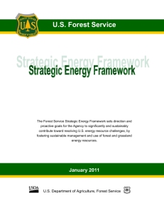 TITLE: The Forest Service Framework for Energy