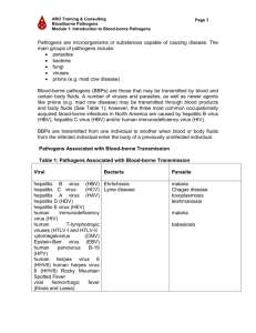 Module 1: Introduction to Blood-borne Pathogens