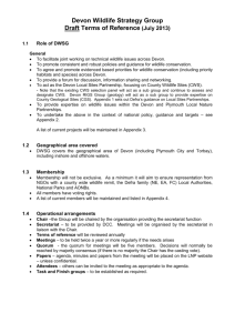 DWSG Terms of Reference (Draft)