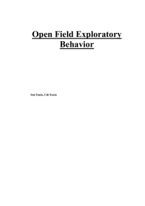 Simulation of open field exploratory behavior