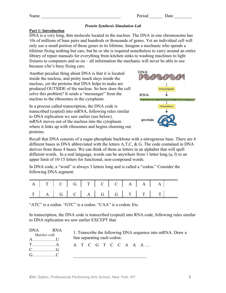 Protein Synthesis Worksheet Answers