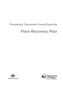 Flora Recovery Plan: Threatened Tasmanian Forest Epacrids, Word