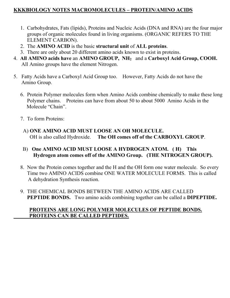 Biology Notes Macromolecules Protein Amino Acids