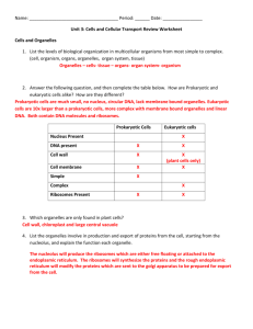 Unit 3 - Cells and Cell Transport Review Worksheet 2014_Honors