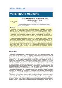BACTERIOLOGICAL STUDIES ON FOAL SEPTICEMIA IN TURKEY