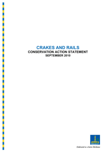 Crakes and rails - Brisbane City Council
