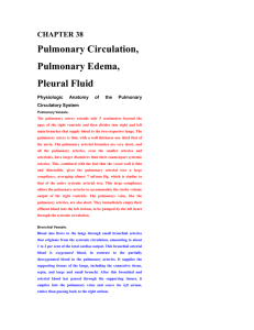 Pulmonary 2 Circulation