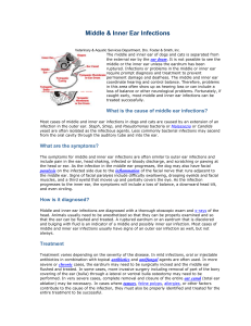 Middle & Inner Ear Infections