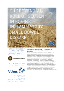 the potential role of gluten in equine inflammatory small bowel disease