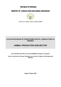 iii. current status of animal production