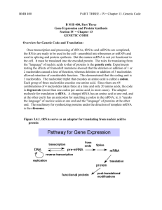 Part Three: Gene Expression and Protein Synthesis