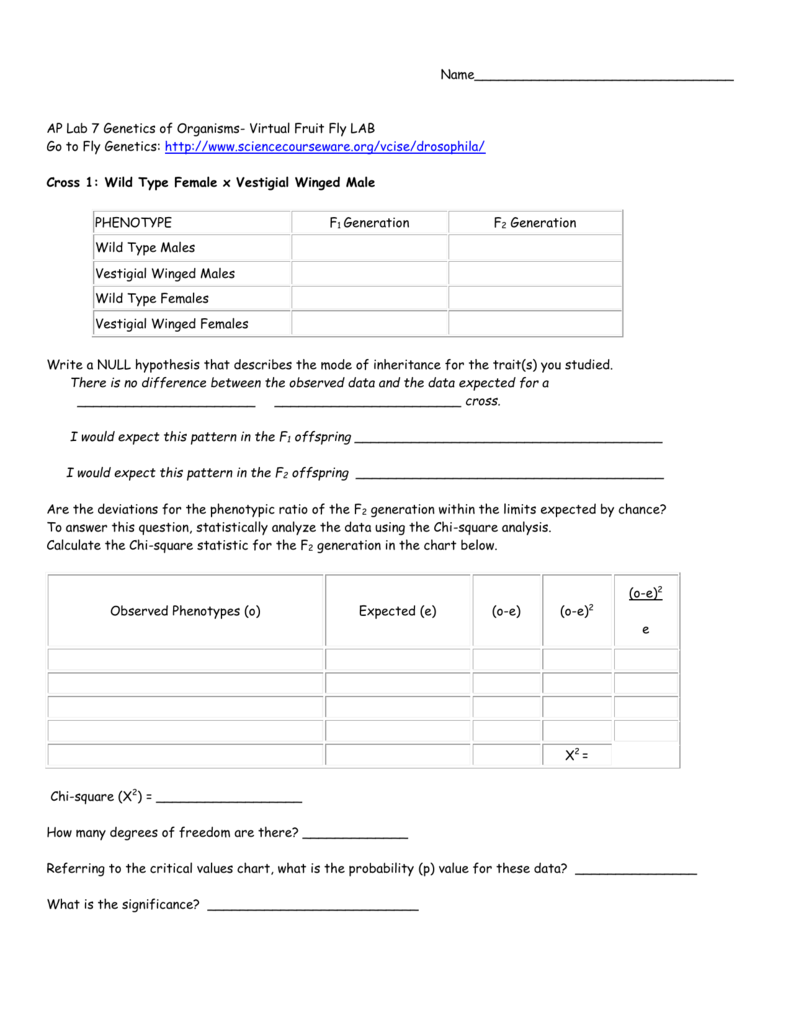 Write ap biology lab report fly