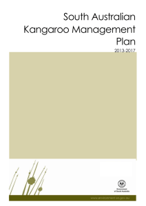 South Australian Kangaroo Management Plan