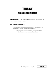 Mitosis vs. Meiosis