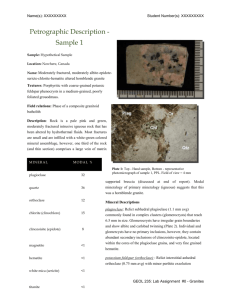 Example of petrographic report