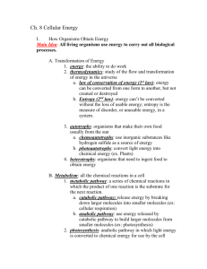 Ch.-8-Cellular-Energy-Notes