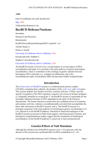 RecBCD Nuclease/Helicase - Microbiology & Molecular Genetics