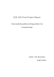 ECE 533 Final Project Report