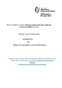 BVD COMPENSATION PROGRAMME FOR BEEF BREED ANIMALS