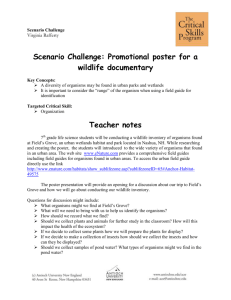 Scenario Challenge: Promotional poster for a wildlife documentary