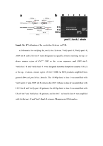 Suppl. Fig . 1 Verification of the PMT1 deletion strain by PCR . a