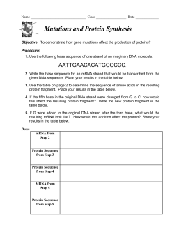 Mutations Worksheet