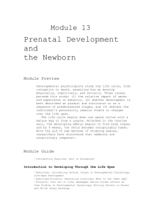 Module 13 Prenatal Development and the Newborn Module Preview