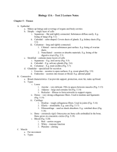 Biology 6 – Test 3 Study Guide