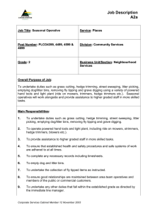 PLCO4295 Job description - North Lincolnshire Council