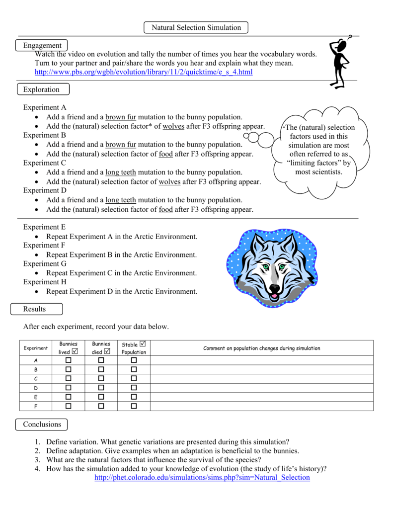 Natural Selection Simulation At Phet Worksheet Answers