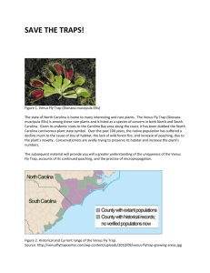 SAVE THE TRAPS! Figure 1. Venus Fly Trap (Dionaea muscipula