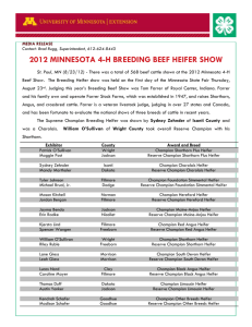 Beef heifers - University of Minnesota Extension