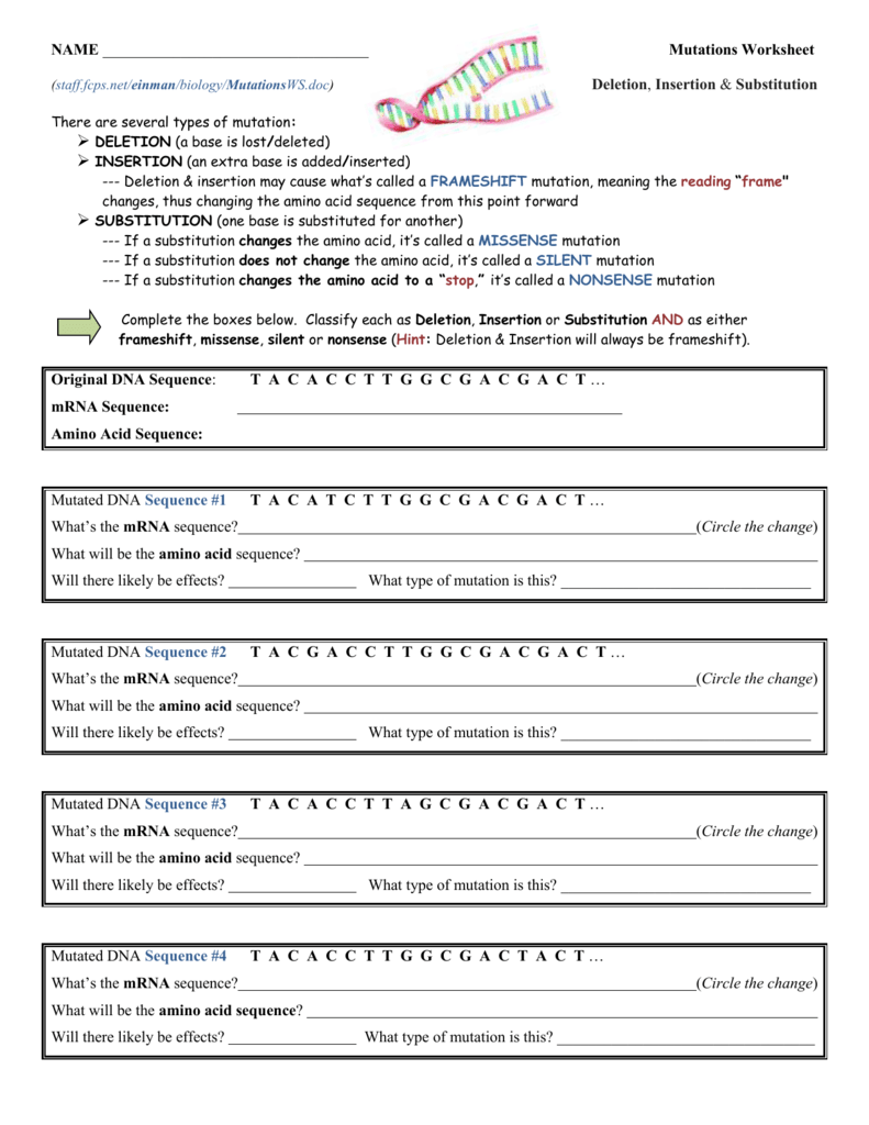 33 Mutations Worksheet Deletion Insertion And Substitution Answers