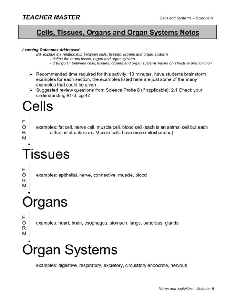 Cells, Tissues, Organs and Organ Systems Notes