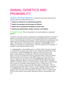 bsaa animal genetics and probability worksheet
