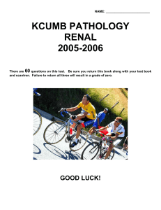 Kidney, 2005-2006 - The Pathology Guy