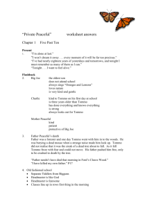 “Private Peaceful” worksheet answers